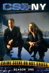 CSI: New York 1 [23/23] ITA Streaming